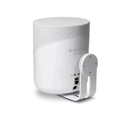 Bluesound WM230 a Ginevra | Digistore.ch